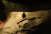 20230219114531-DSCN5530.JPG