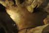 20230219114659-DSCN5532.JPG