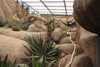 20230219115042-DSCN5535.JPG