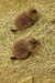 20230219120052-DSCN5551.JPG
