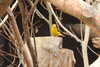 20230219120127-DSCN5553.JPG
