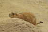20230219120136-DSCN5554.JPG