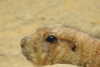 20230219120140-DSCN5555.JPG