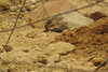 20230219120406-DSCN5557.JPG
