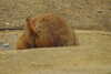 20230219120436-DSCN5558.JPG