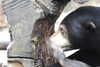 20230219121035-DSCN5564.JPG