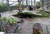 20230219121243-DSCN5566.JPG