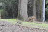 20230219121358-DSCN5570.JPG