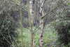 20230219122043-DSCN5573.JPG