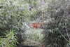 20230219122056-DSCN5574.JPG