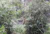 20230219122058-DSCN5575.JPG