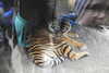 20230219122142-DSCN5576.JPG