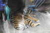20230219122144-DSCN5577.JPG