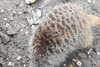 20230219122549-DSCN5582.JPG