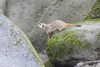 20230219122636-DSCN5585.JPG