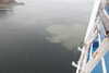 20230429054324-DSCN5660.JPG