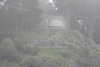 20230429054431-DSCN5665.JPG