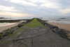 20230503180729-DSCN5688.JPG