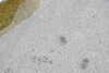 20230505184111-DSCN5733.JPG