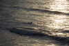 20230505184410-DSCN5734.JPG