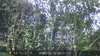 20230512080112-DSCF0009.JPG