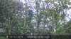 20230512081031-DSCF0011.JPG