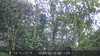 20230512081139-DSCF0013.JPG