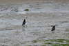 20230513084714-DSCN5762.JPG