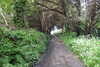 20230513153006-DSCN5771.JPG