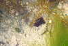20230513154022-DSCN5781.JPG