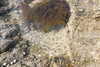 20230513154058-DSCN5782.JPG