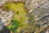 20230513154248-DSCN5786.JPG