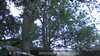 2023-05-27:Wildlife Dropzone

