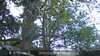 20230527070353-DSCF0003.JPG