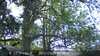 20230527090007-DSCF0005.JPG