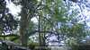 20230527092409-DSCF0007.JPG