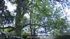 20230527094831-DSCF0009.JPG