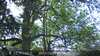 20230527095435-DSCF0011.JPG