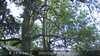 20230527102710-DSCF0015.JPG