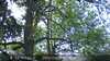 20230527103307-DSCF0017.JPG