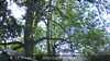 20230527104341-DSCF0019.JPG