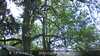 20230527105740-DSCF0021.JPG