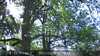 20230527121414-DSCF0025.JPG