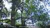 20230527124012-DSCF0027.JPG