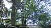 20230527125737-DSCF0031.JPG