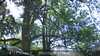 20230527130405-DSCF0033.JPG