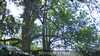20230527131559-DSCF0035.JPG