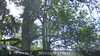 20230527133452-DSCF0037.JPG
