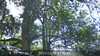 20230527133645-DSCF0039.JPG
