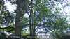 20230527140349-DSCF0049.JPG